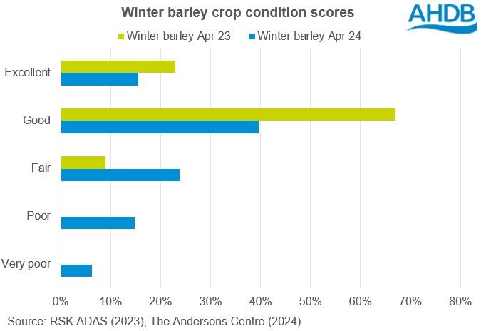 Chart showing GB winter barley conditions scores at the end of April 2023 and 2024